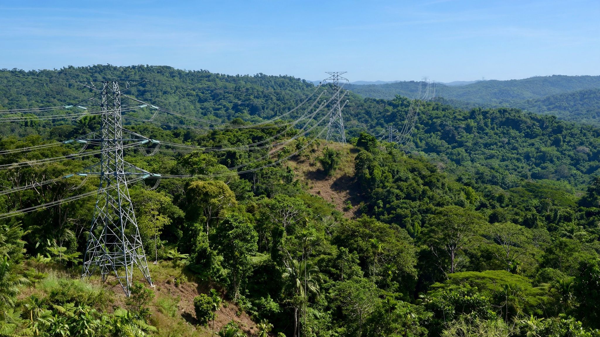 Visualisation : Ligne à haute tension traversant une forêt tropicale